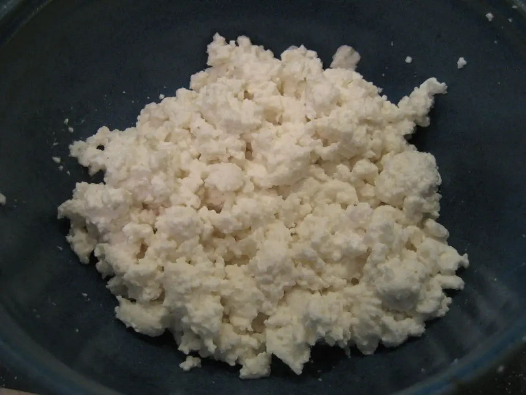 Cottage Cheese Fat