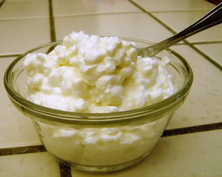 full-fat-cottage-cheese-advantages-disadvantages