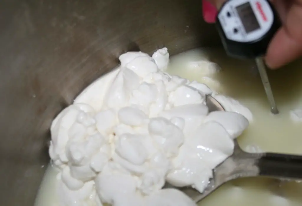 dry curd cottage cheese