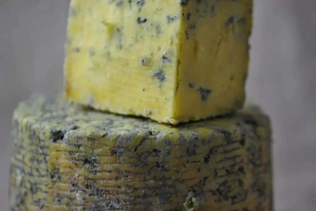 is blue cheese mold