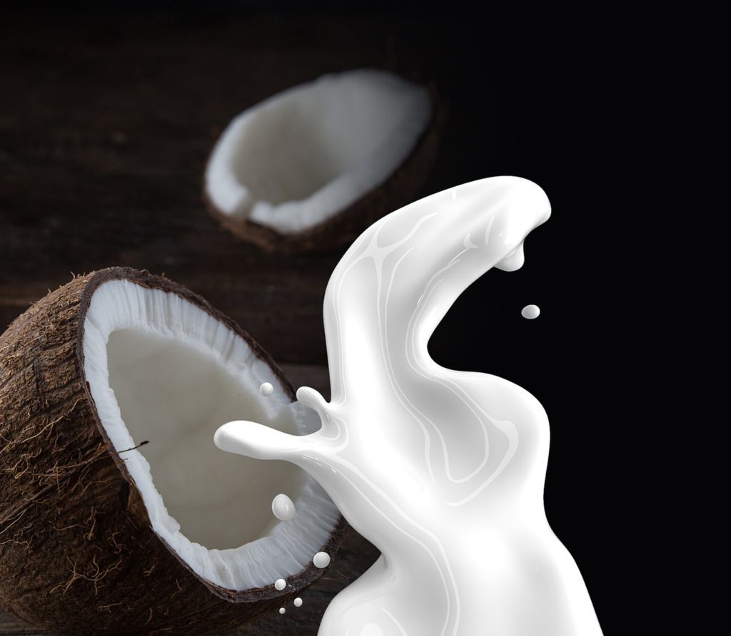 coconut milk lactose-free