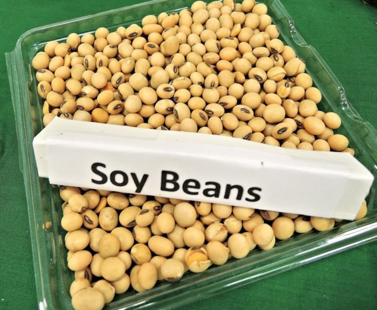 does-soy-milk-have-dairy