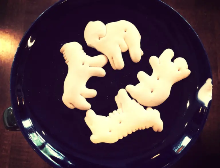 Do Animal Crackers Have Dairy Answered   Animal Crackers 768x587 